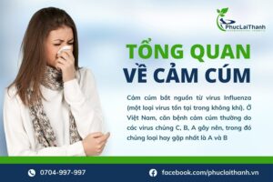 Bạch Nhiệt căn VIDIPHA trị cảm cúm