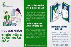 Nguyên nhân thiểu năng tuần hoàn não - Bạn nến sử dụng Hoạt Huyết VIDIPHA