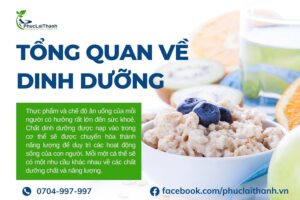 Pharvinton Vidipha tăng cường sức khỏe