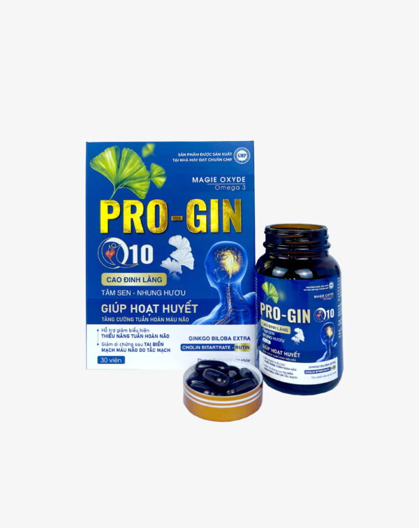 Pro - Gin 10 giúp hoạt huyết