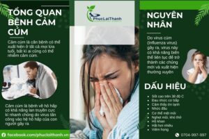 Siro Bạch Nhiệt Căn VIDPHA hỗ trợ trị bệnh cảm cúm