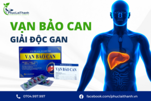 Vạn bảo can biện pháo bảo vệ gan