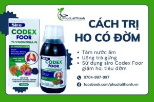 Những cách trị ho có đờm hiệu quả nhất mà bạn nên thực hiện