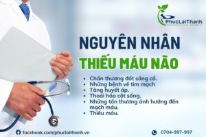 Nguyên nhân thiếu máu não