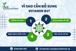 bổ sung vitamin b2