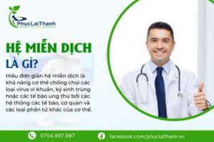 hệ miễn dịch của cơ thể