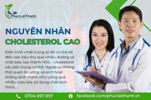 nguyên nhân cholesterol