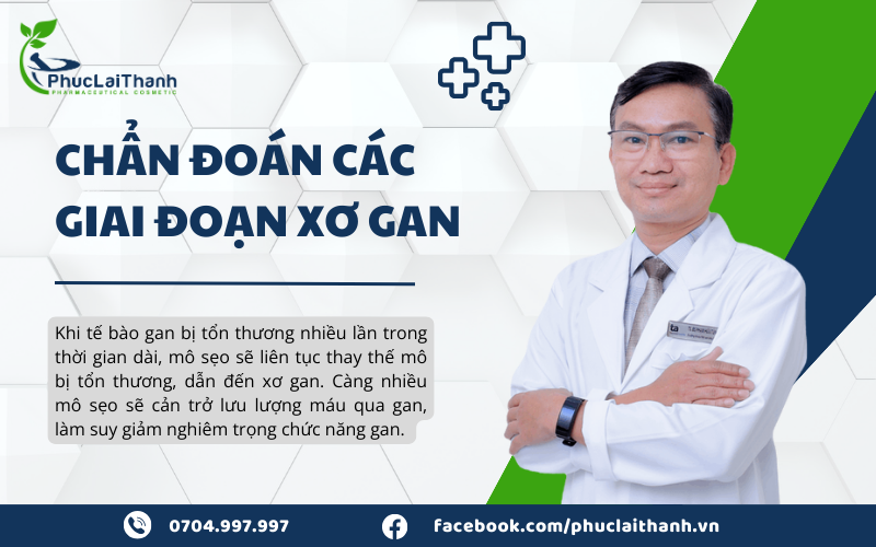 cac giai doan xo gan